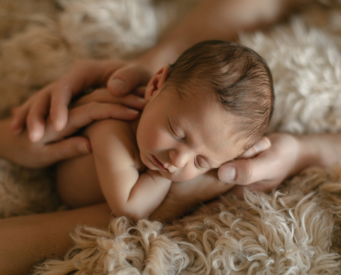 newborn baby with family's hands all around it during a newborn session